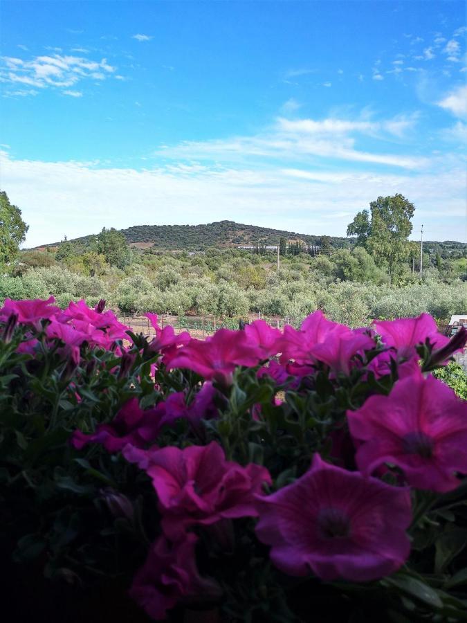 B&B L'Asfodelo Villa San Pietro Екстериор снимка